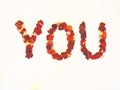 3d YOU written with dried red rose petals
