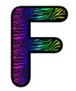 3D Zebra RAINBOW print letter F, animal skin fur creative decorative character F, with colorful isolated in white background.