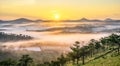 Da lat, lam dong, viet nam- feb 12, 2017: beautyful landscape of da lat city, a small vietnamese pagoda in fog and the pine hill Royalty Free Stock Photo