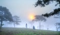 Tourists watching the dawn on a misty morning