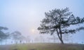 Tourists watching the dawn on a misty morning