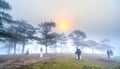 Tourists watching the dawn on a misty morning