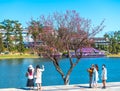 Tourists visit and take pictures by cherry apricot trees along the banks