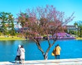 Tourists visit and take pictures by cherry apricot trees along the banks