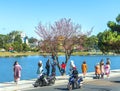 Tourists visit and take pictures by cherry apricot trees along the banks