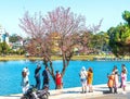 Tourists visit and take pictures by cherry apricot trees along the banks