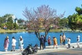 Tourists visit and take pictures by cherry apricot trees along the banks