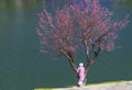 Tourists visit and take pictures by cherry apricot trees along the banks