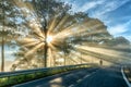 Motorcyclists driving on road through pine forests