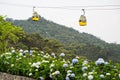 Da Nang, Vietnam - Apr 2, 2016: Cable car with flowers on foreground for transportation to Ba Na Hills site, 30km from Da Nang cit