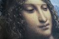 Da Vinci Madonna face closeup