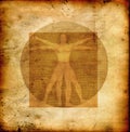 Da vinci's vitruvian man