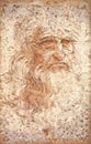 Da Vinci self-portrait