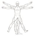 Da Vinci Style Vitruvian Man