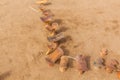 Daasanach tribe-made wooden seats for sale in their village near Omorate, Ethiop