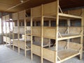 Dachau Bunk Beds Royalty Free Stock Photo