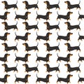 Dachshund in action seamless pattern