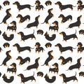 Dachshund in action,seamless pattern