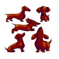 Dachshund cartoon color characters set