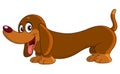 Dachshund dog Royalty Free Stock Photo