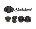 Dachshund dog. Bone, Muscles, Horns gesture, Middle finger, Rock sign. Dachshund with different gestures set. Dog breed. Vector.