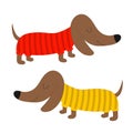 Dachshund dog breed set. Cute cartoon character on white background. Puppy dressed in red and yellow clothes Isolated. Flat design Royalty Free Stock Photo