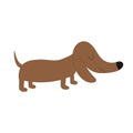 Dachshund dog breed. Cute cartoon character on white background. Isolated. Flat design Royalty Free Stock Photo