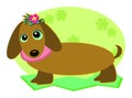 Dachshund Dog with a Flower