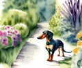 Dachshund Dog, Generative AI Illustration Royalty Free Stock Photo