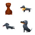 Dachshund dog icons set cartoon vector. Various dog in action Royalty Free Stock Photo