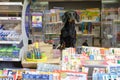 Dachshund dog in a newspaper kiosk