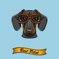 Dachshund dog pilot. Aviators glasses. Best pilot inscription. Cute dog portrait. Vector.