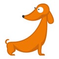 Dachshund dog playing purebred breed, brown puppy canine vector.