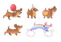 Dachshund, dog, set of illustrations