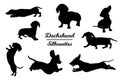 Dachshund dog silhouettes.