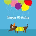 Dachshund dog. Striped shirt. Cute cartoon character. Balloons and hat. Happy Birthday greeting card. Flat design Royalty Free Stock Photo