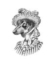 Dachshund Dog in suit. Hunting breed. Lady or madam in victorian dress. Fashion Animal character in clothes. Hand drawn