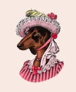 Dachshund Dog in suit. Hunting breed. Lady or madam in victorian dress. Fashion Animal character in clothes. Hand drawn