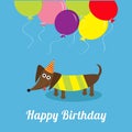 Dachshund dog with tongue. Striped shirt. Cute cartoon character. Balloons and hat. Happy Birthday greeting card. Flat design