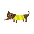 Dachshund dog with tongue. Striped shirt. Cute cartoon character on white background. . Flat design Royalty Free Stock Photo