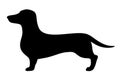 Dachshund dog. Vector black silhouette. Royalty Free Stock Photo