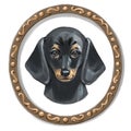 Dachshund face. Dog portrait muzzle head. Dog breed. Digital illustration