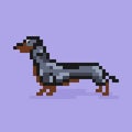 Dachshund flat vector icon. Retro 80s pixel art.