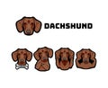Dachshund with gestures. Dog. Middle finger, muscles, bone, rock, horns. Vector.