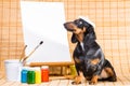 Dachshund in hat of artist near easel with clean canvas