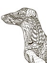 Dachshund head coloring book for adults vector