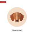 Dachshund head vector flat icon on turquoise circular background