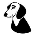 dachshund head vector illustration style