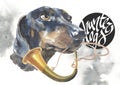 Dachshund, hunter dogs card designs, editable logo, you can enter your logo or text