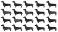 Dachshund isolated black set icon. Vector illustration dog on white background. Vector black set icon dachshund. Royalty Free Stock Photo